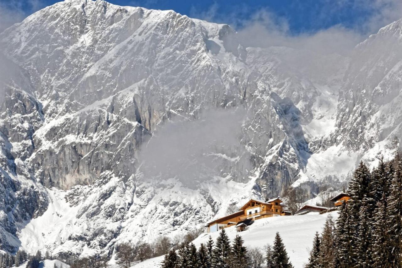 Gut Stein Panoramalodge Mühlbach am Hochkönig 外观 照片