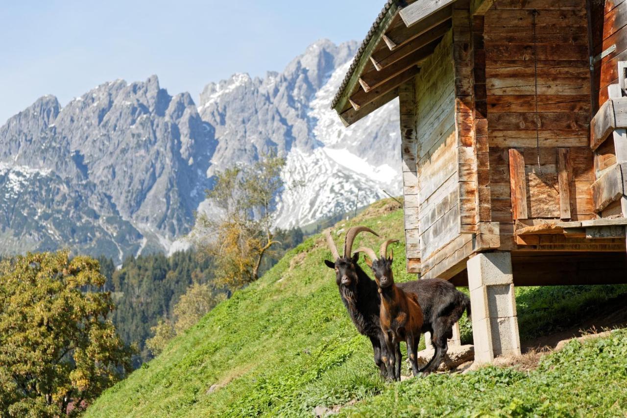 Gut Stein Panoramalodge Mühlbach am Hochkönig 外观 照片