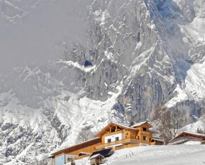 Gut Stein Panoramalodge Mühlbach am Hochkönig 外观 照片