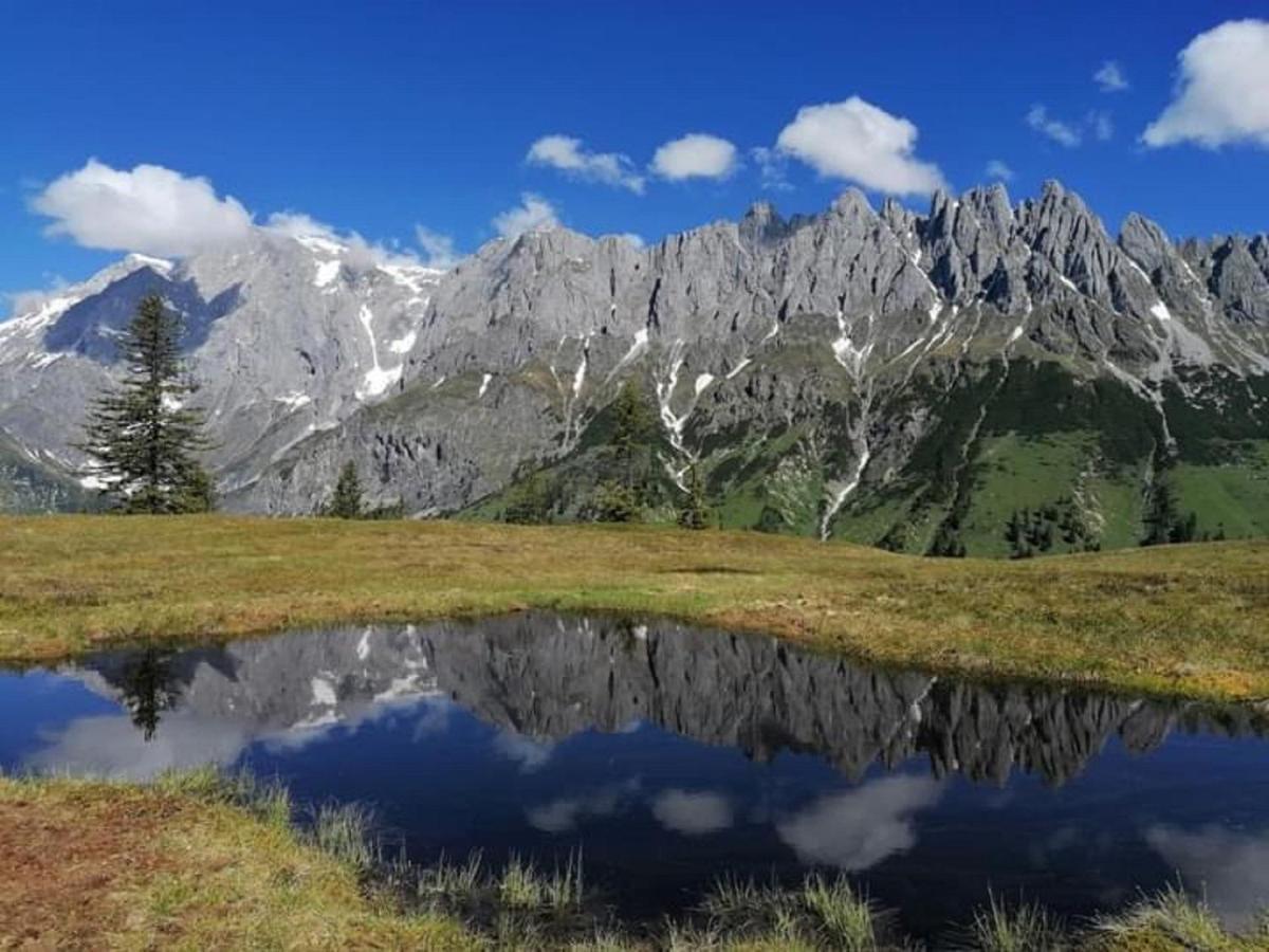 Gut Stein Panoramalodge Mühlbach am Hochkönig 外观 照片