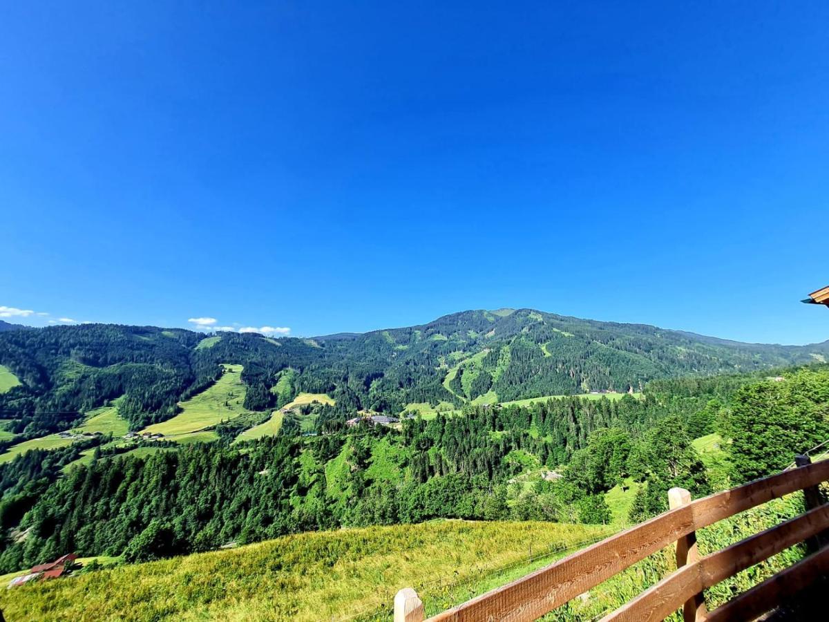 Gut Stein Panoramalodge Mühlbach am Hochkönig 外观 照片