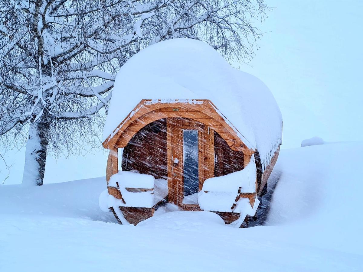 Gut Stein Panoramalodge Mühlbach am Hochkönig 外观 照片