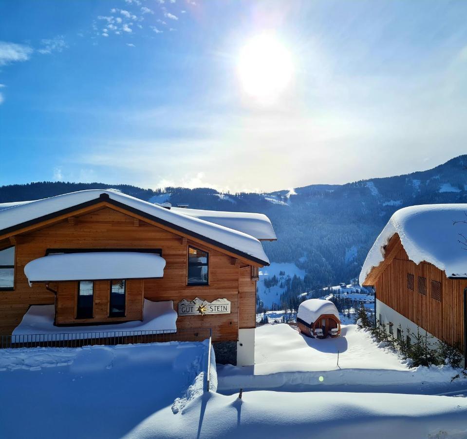 Gut Stein Panoramalodge Mühlbach am Hochkönig 外观 照片